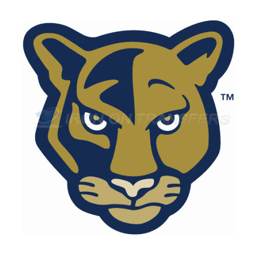 FIU Panthers Iron-on Stickers (Heat Transfers)NO.4364